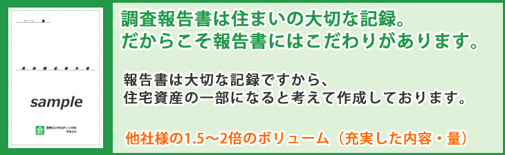 レポート(報告書)