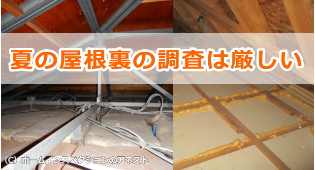 夏の屋根裏の調査は本当に厳しい